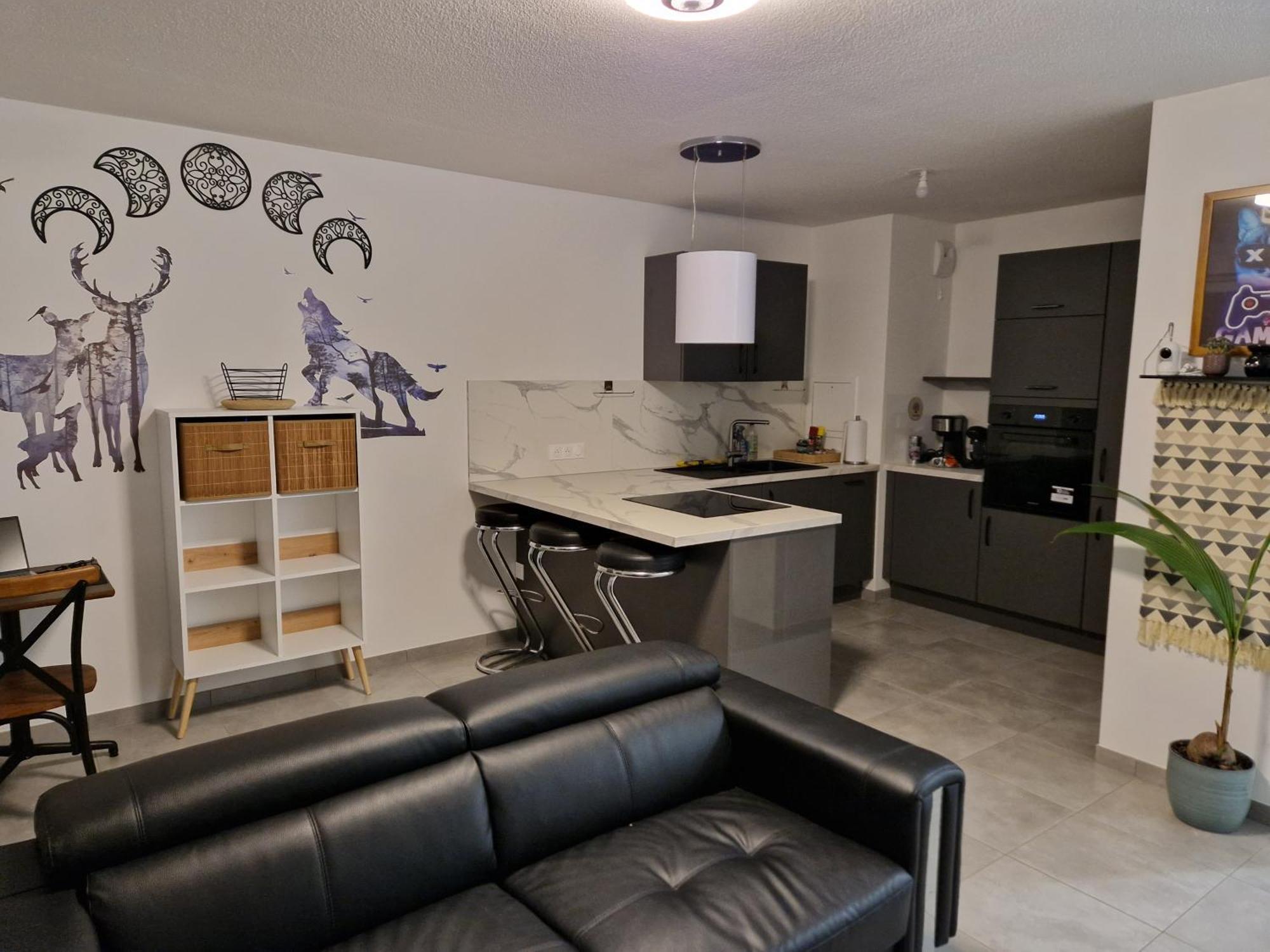 Escale Romantique Appartement Strasbourg